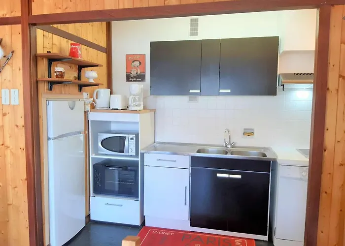 Duplex T3, 6 Pers, 1700m D'altitude, Pla D'adet, Sud, Parking, Classe 2 Etoiles, Non-fumeur - Fr-1-457-309 아파트 *